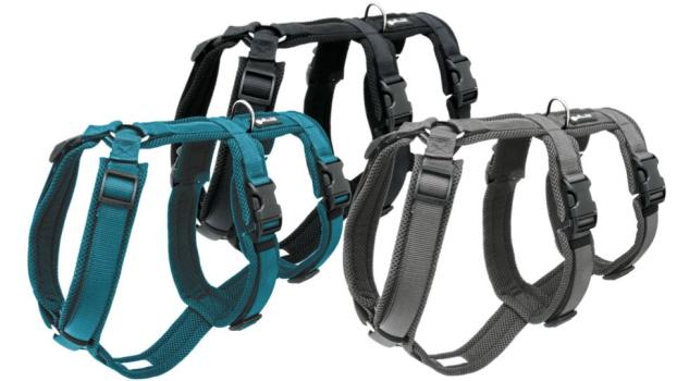 Petlando Sicherheitsgeschirr